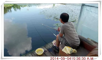 충남 아산 월선낚시터 9월 4일자 조황정보