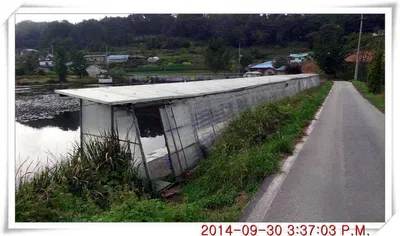 충남 아산 월선낚시터 9월 30일자 조황정보