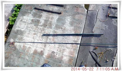 충남 아산 월선낚시터 5월 22일자 조황정보