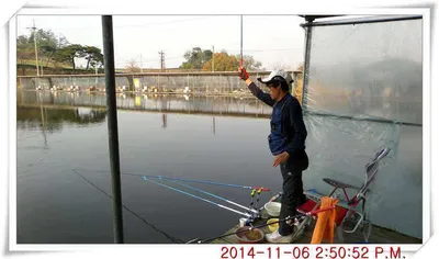 충남 아산 월선낚시터 11월 6일자 조황정보