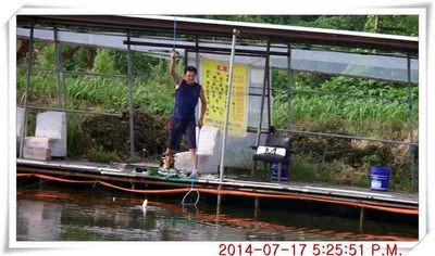 충남 아산 월선낚시터 7월 17일자 조황정보