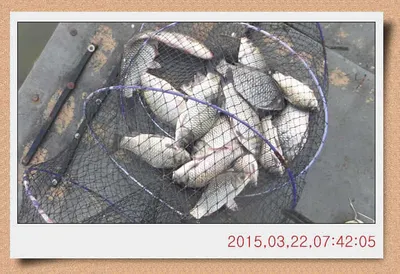 충남 아산 월선낚시터 3월 22일자 스케치