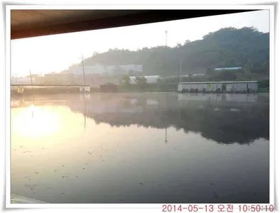 충남 아산 월선낚시터 5월 13일자 조황정보