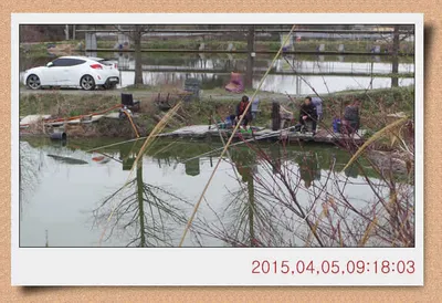 충남 아산 월선낚시터 4월 5일자 스케치