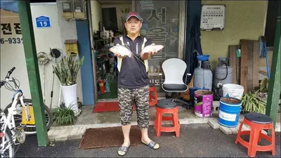 16.10.03 송전지 서울집 조황