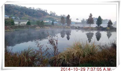 충남 아산 월선낚시터 10월 29일자 조황정보