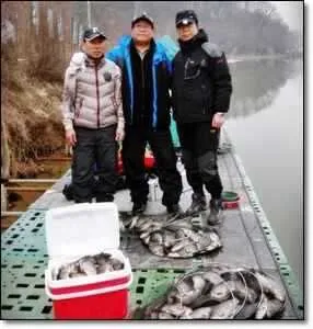 [각평지] 3월 마지막 주 봄과 함께 대박 조황...그리고..