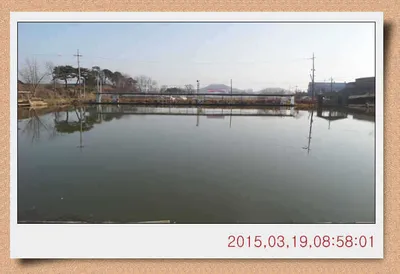 충남 아산 월선낚시터 3월 19일자 스케치