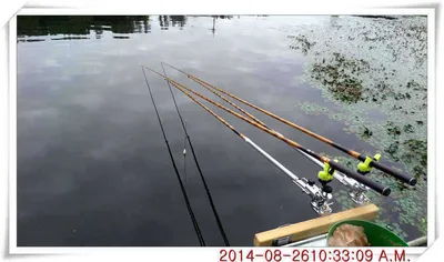 충남 아산 월선낚시터 8월 26일자 조황정보