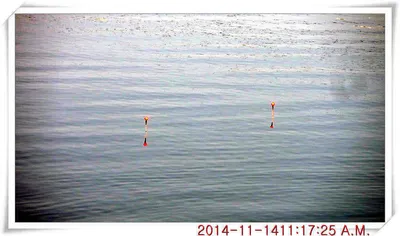 충남 아산 월선낚시터 11월 14일자 조황정보