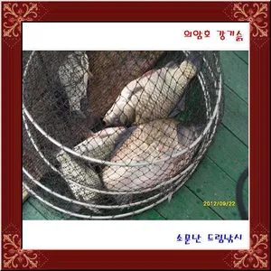 조금은 창피한 일이지만.