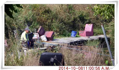 충남 아산 월선낚시터 10월 8일자 조황정보