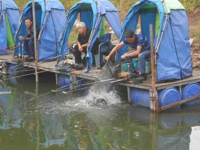 ^^조황소식&수상좌대이벤트^^