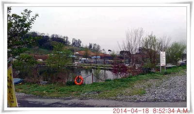 충남 아산 월선낚시터 4월 18일자 조황정보