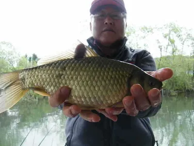 자갈섬낚시터주말조황입니다