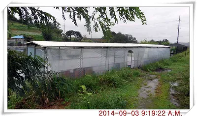 충남 아산 월선낚시터 9월 3일자 조황정보