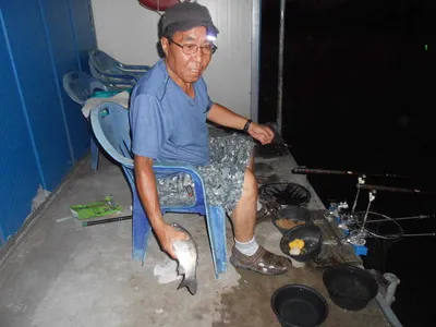 **조황소식&수상좌대이벤트**