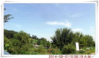 충남 아산 월선낚시터 9월 2일자 조황정보