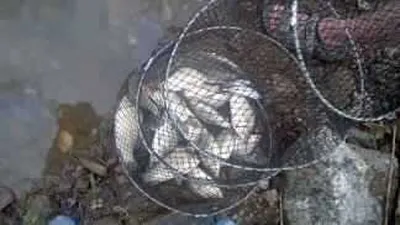 장마가 시작대 거이 만수가되엇어요^^