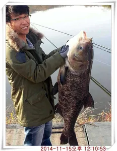 충남 아산 월선낚시터 11월 15일자 조황정보