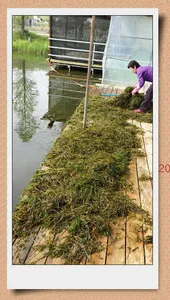 충남 아산 월선낚시터 5월 6일자 스케치