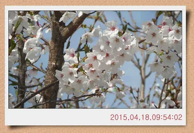 충남 아산 월선낚시터 4월 18일자 스케치