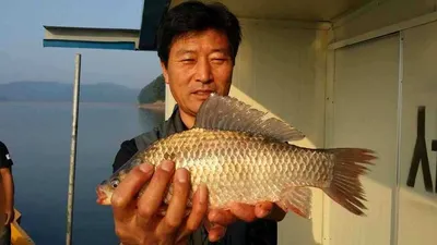 15.07.06 송전지 서울집 조황