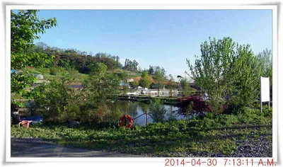 충남 아산 월선낚시터 4월 30일자 조황정보