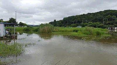 고른 조황 그리고 덩어리들!!