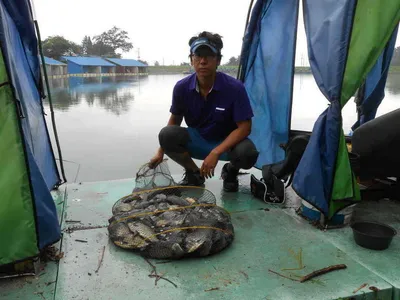 *****실시간 조황사진 올려봅니다*****