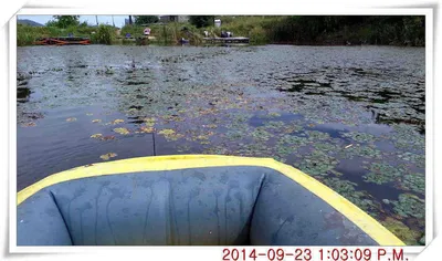 충남 아산 월선낚시터 9월 23일자 조황정보