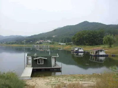 국화지 9월 둘째 주 조황