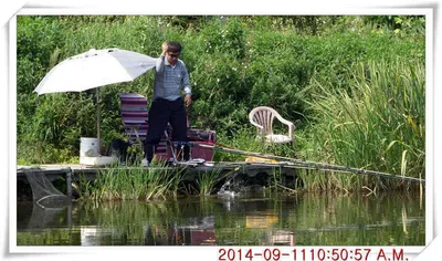 충남 아산 월선낚시터 9월 11일자 조황정보