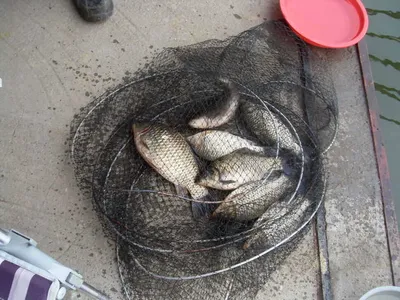 당진가교리지4자 대방류..