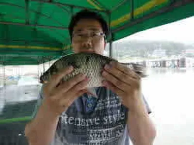 비속에 토종이 나왔네요..