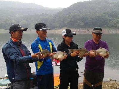 안성 죽산 장계지