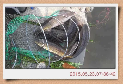 충남 아산 월선낚시터 5월 23일자 스케치