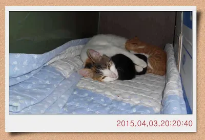 보름달도 막을수 없는 월선지의 입질