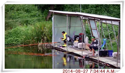 충남 아산 월선낚시터 8월 27일자 조황정보