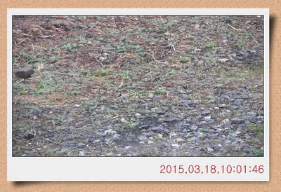 충남 아산 월선낚시터 3월 18일자 스케치