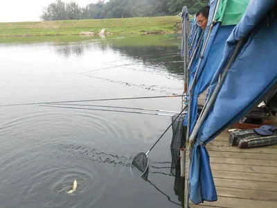 *****실시간 조황올립니다*****
