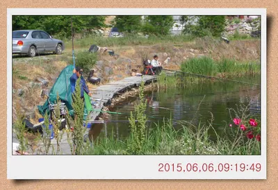 충남 아산 월선낚시터 6월 6일자 스케치
