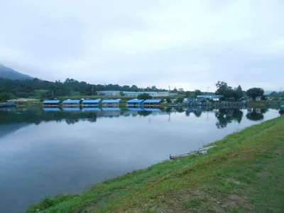 *****실시간 조황올립니다*****