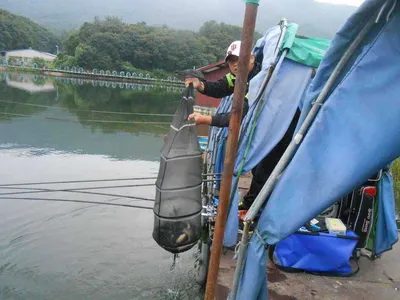 *****실시간 조황사진*****