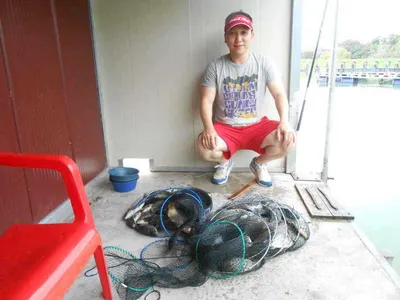 *****실시간 조황올립니다*****