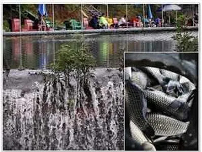 [각평지] 6월 마지막 주말 비에젖은 각평지