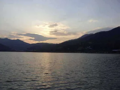 국화지 11월 넷째 주 조황 스케치