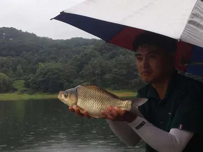 안성 죽산 장계지