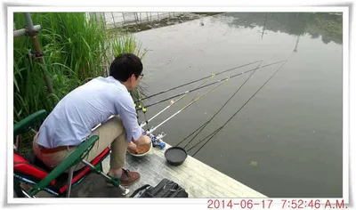 충남 아산 월선낚시터 6월 17일자 조황정보