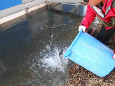 초원낚시터 조황입니다^^^